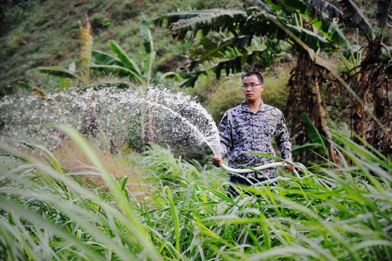 11月13日,庞淇蔚在用沼气液喷洒喂鱼的草料。