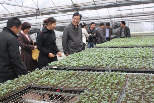 㽭¡ũƷȫ׼硱Ŀͨ