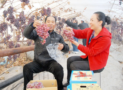 新疆昌吉:葡萄留树保鲜 每公斤售价60元