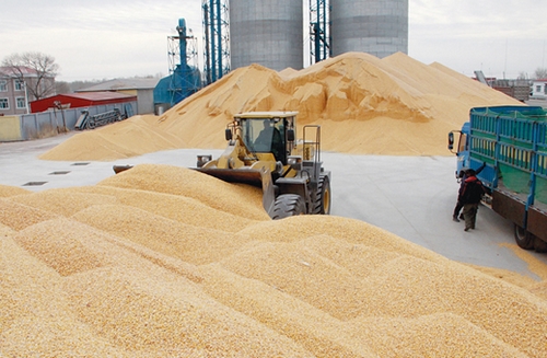 �����������������ʳ�չ�����ȫ������