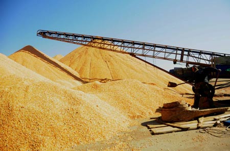 ���������ʡ��������ʳί���մ����