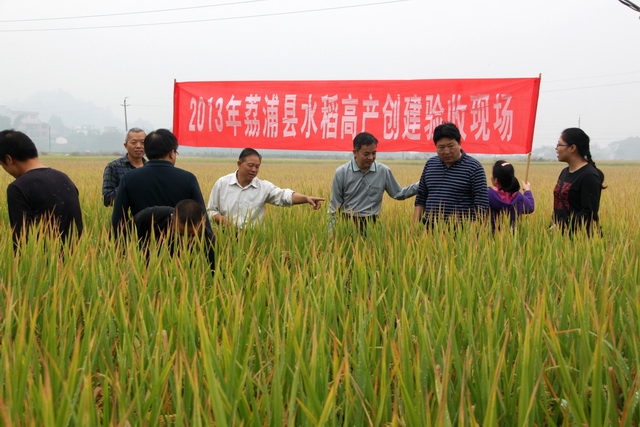 ����������������Ķ�߲�����ʾ�����Ч��