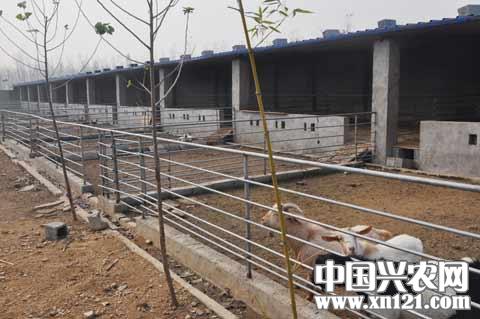 �����ǵ���ֳ��