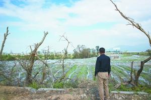 ̨硰ࡱشũҵ 55.524Ķ