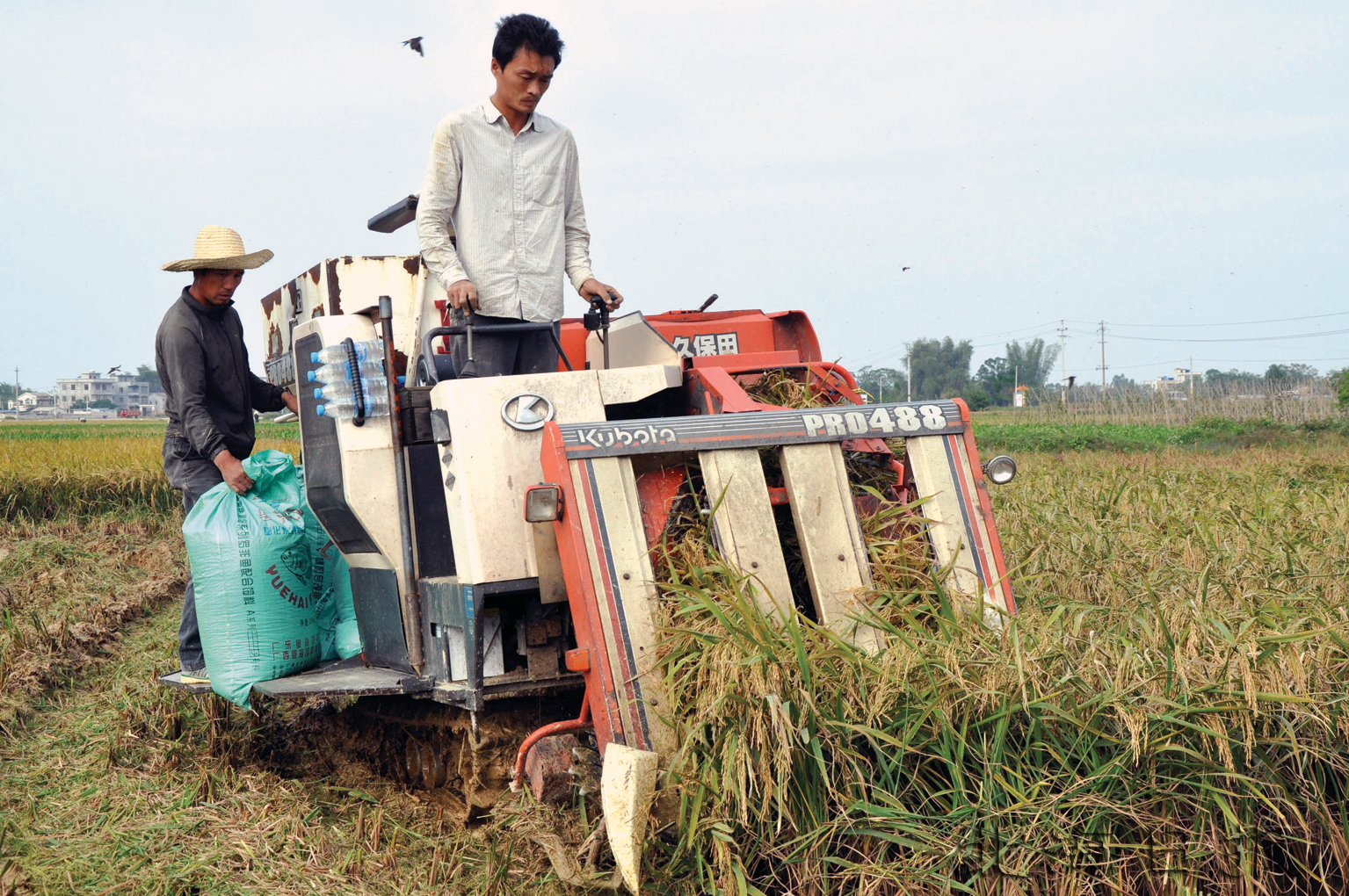 ������������������