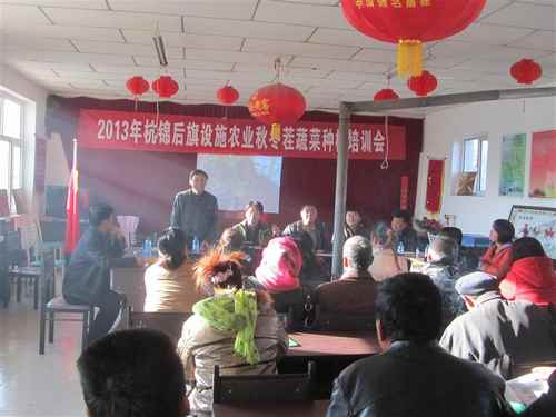 内蒙古杭锦后旗积极开展设施农业秋冬茬蔬菜种植培训会