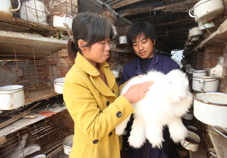 أչͥԺֳ ֳģ һ¸