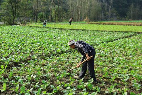 ǭũԱΪͲ˶֧ ȷﰲȫԽ