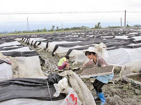 ����ӯ����Ū�������ũ�����ȳ�