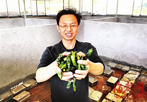 张元:一个辣椒一根黄瓜扬名山乡