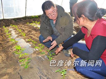 郝水源:农民致富的好帮手