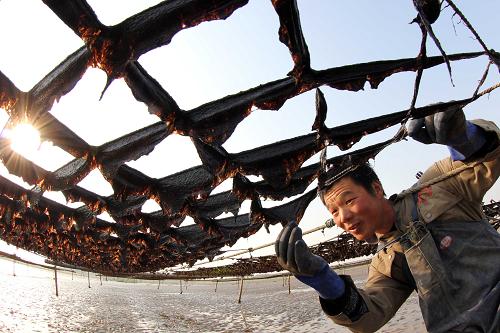 �������Ƹ������ϲ˽����ո���