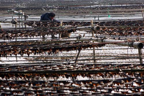 11��20�գ�����ʡ���Ƹ��к�ͷ����ֳ�����ջ��ϲˡ�