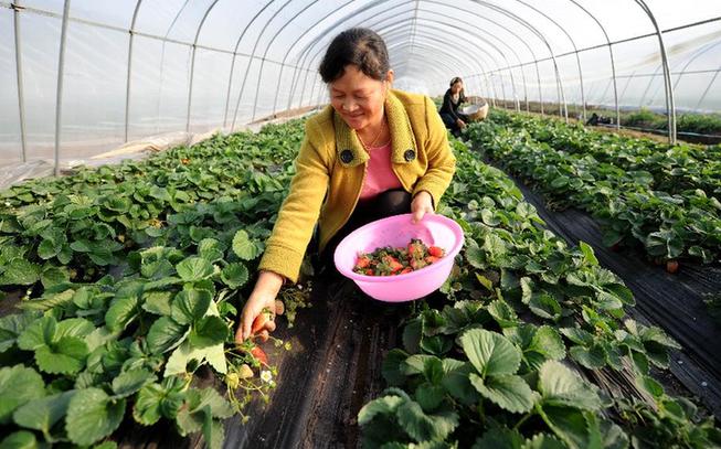 1120գŽظۿڽũڲݮزժݮ