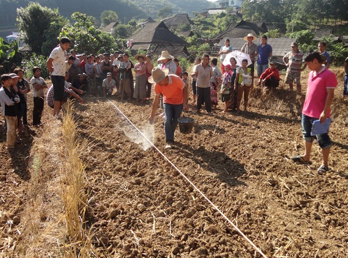 云南景云南洪市勐龙镇农技人员服务忙