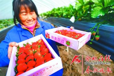 ���ճ����ݮ��������