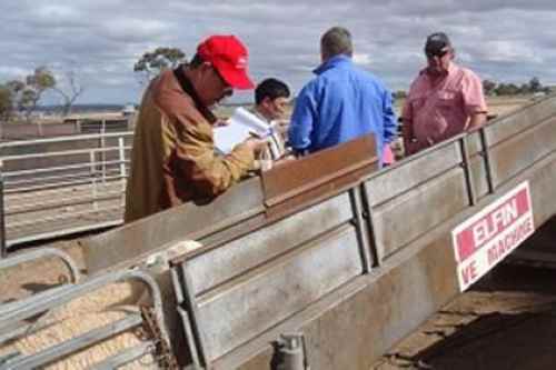 ���ɹ��ٺ����ӰĴ���������128ֻ��������:��������ר����ѡ����