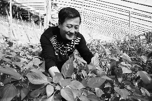 ׿չģʩũҵ ôӵȼ¸