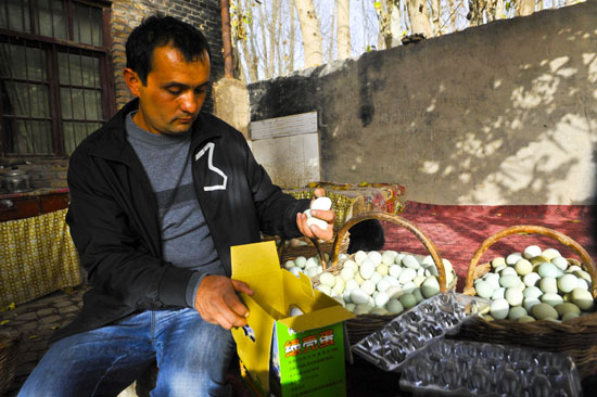 新疆阿克陶县:帕米尔青年和他的“鸡蛋生意”