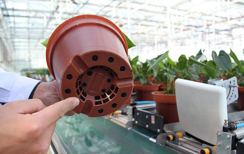 1121գԱָײ΢͹Ƕм¼軨ߡɫռȵָRFIDоƬ