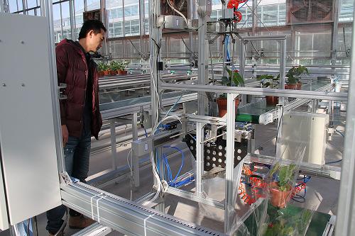 ǻһܳڣ軨ԶװԶץȡ״ȹ1121㣩