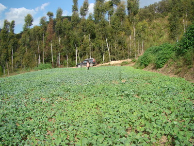 ���϶�ɽ�ػ�����Ƽ���ԱΪɽ��ũ�������Ͳ˹�������֧��