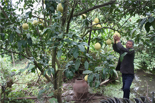 ����ᶼ�ҿڳ��壺���ִ������� ��ũ��������·