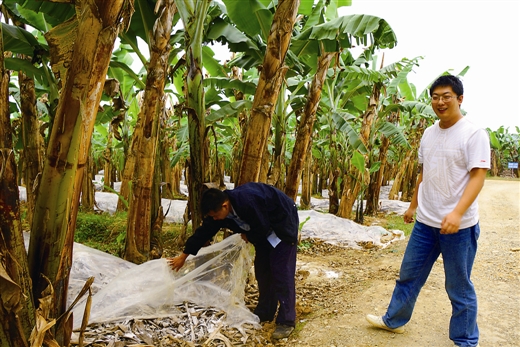 뼯Ƭģ㽶׼ʾ԰ĿǰֱӾӪ԰3.6Ķ¡㽶أǰѿĽҶѸǵĤ͵ضŽȱ±ʪ棬ֿɳΪϸ