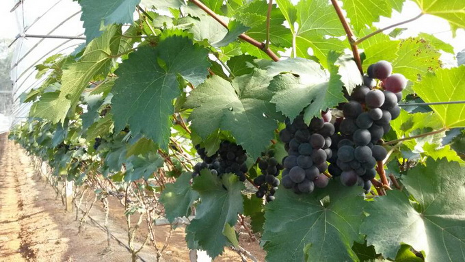 �������ؾ޷����Ѷ���������������