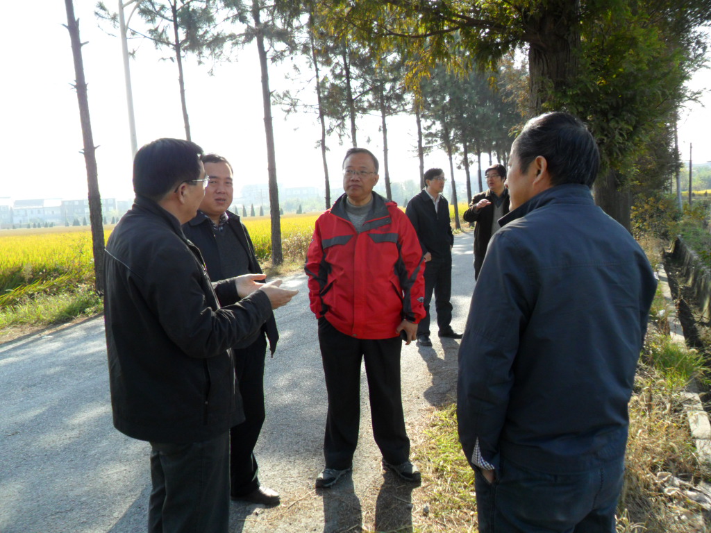 浙江宁波余杭区两个粮食生产功能区通过省级认定