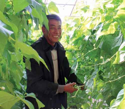 内蒙古:记者节 走基层——农牧业向“升级版”挺进