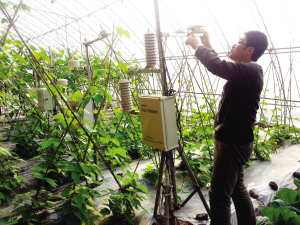 天津市成为农业部确立首批农业物联网试验区