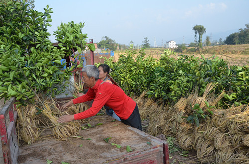 ������ƽ��������������ƽ�ֱ�׼��ʾ��԰