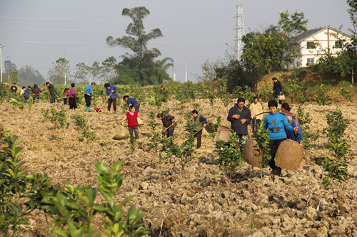 ������ƽ��������������ƽ�ֱ�׼��ʾ��԰2