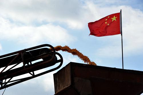 1125գдǰͼʳմڣʳͻʳ