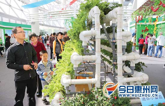 㶫ũӭ10˴ ǻũҵעĿ