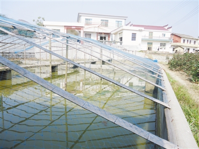 安徽石台:立体养殖拓富路