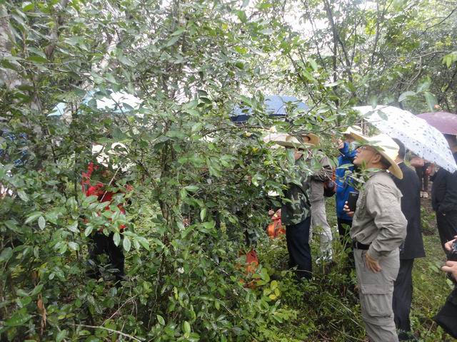 ũҵ̬ԴվǸпչҰԴ