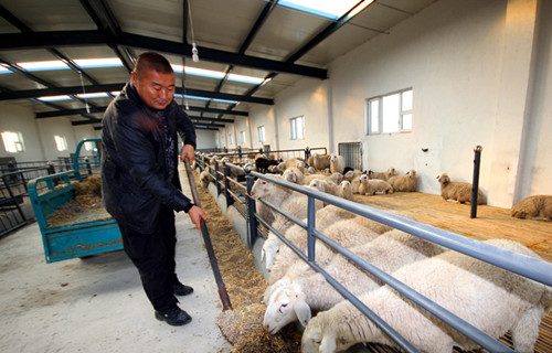 新疆兵团第五师八十九团少数民族农民种养结合多元增收