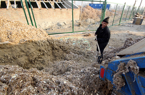 新疆兵团五师八十九团加紧饲草储备 确保牲畜越冬