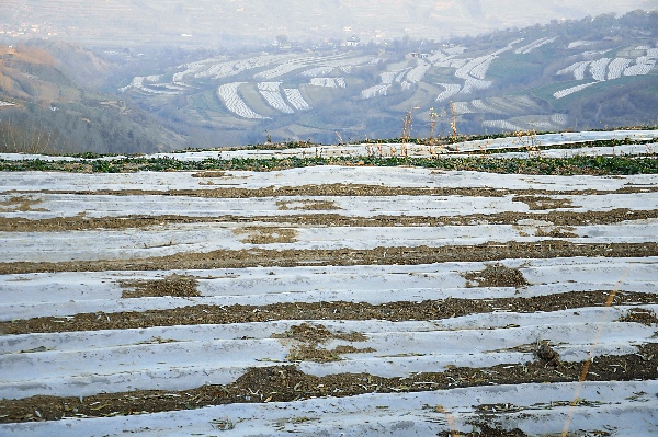 ʯɽʵļ ＾Ĥ10.3Ķ