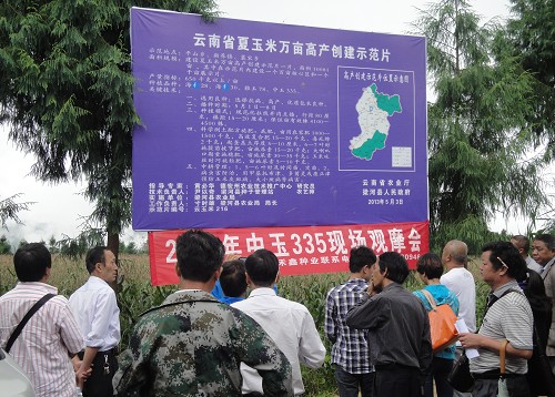 云南梁河县种子管理站多举措做好夏玉米高产创建项目