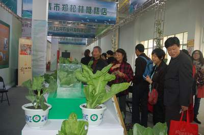 浙江苍南盆栽活菜亮相2013省农博会