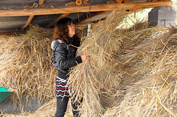 都市养牛女郎 下乡遭遇彷徨