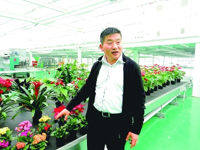 “花王”杨铁顺