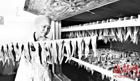 清流豆腐皮 豆香飘千里