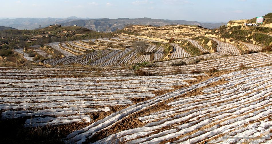 甘肃清水县全力推进秋覆膜工作