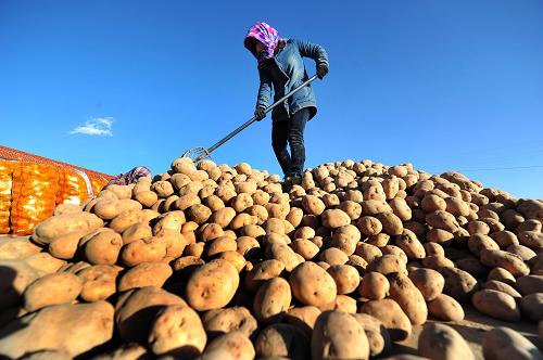 1127գؽ̨гڣһ̷ũзɸѡ