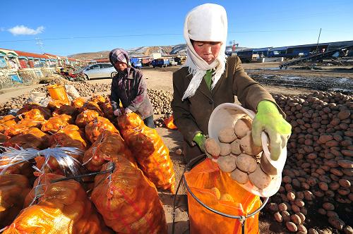 1127գؽ̨гڣһ̷ũװ׼ۡ