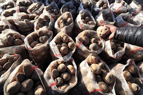 1127գؽ̨гڣһ̷ѡũ